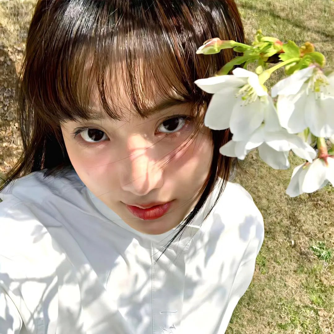 神勇飞虎霸王花